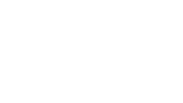 Liga Valkyria