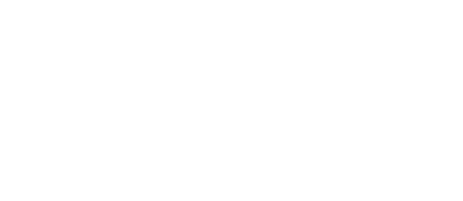Velox 