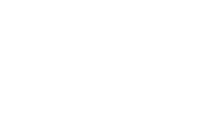 King of the Kongo