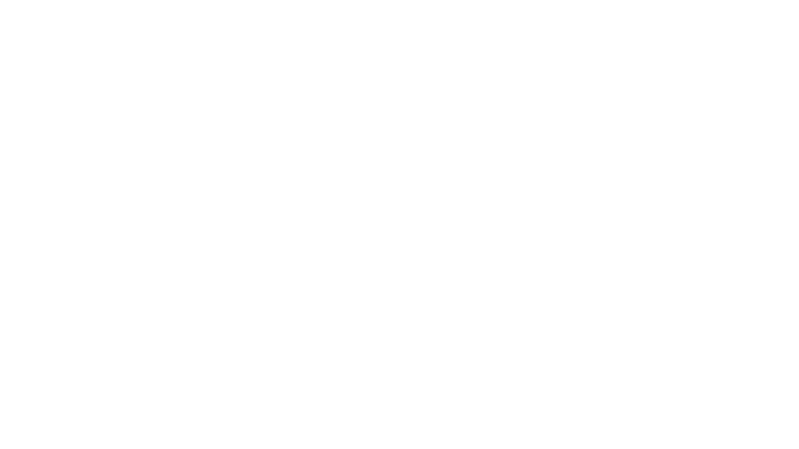 FireSPORTS