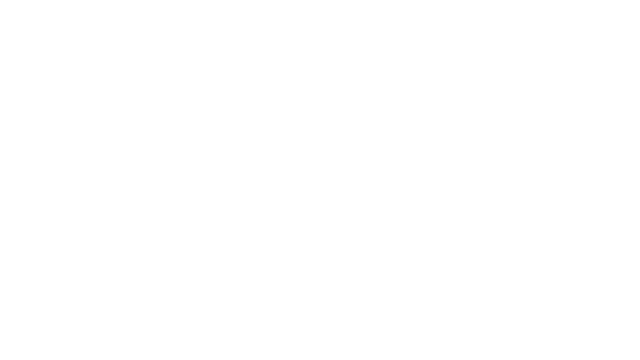 Visa | N1U