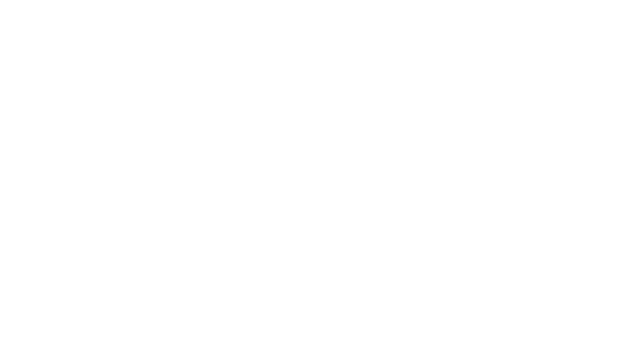 Video Game Experience